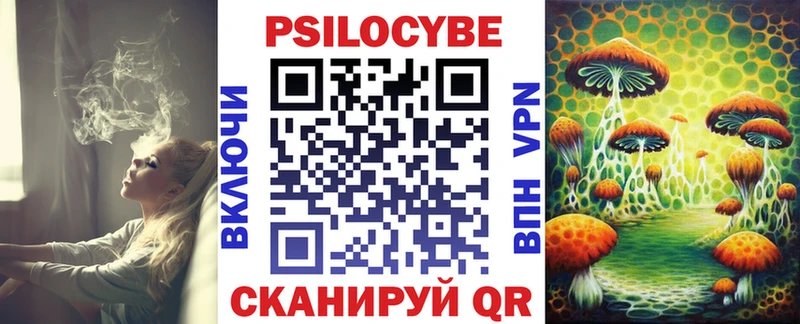 Псилоцибиновые грибы GOLDEN TEACHER  наркошоп  Бодайбо 